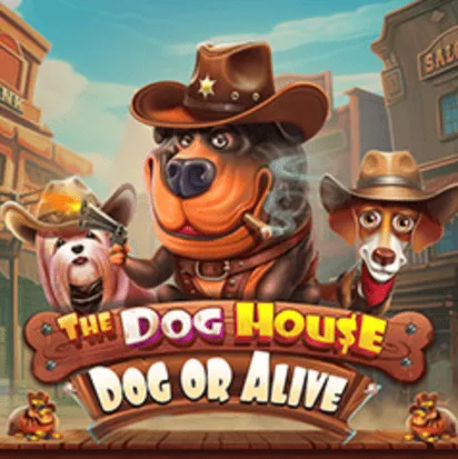 The Dog House